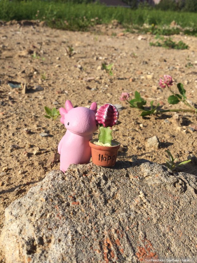 Акакий — Интересные игрушки и фигурки (разное): редкие