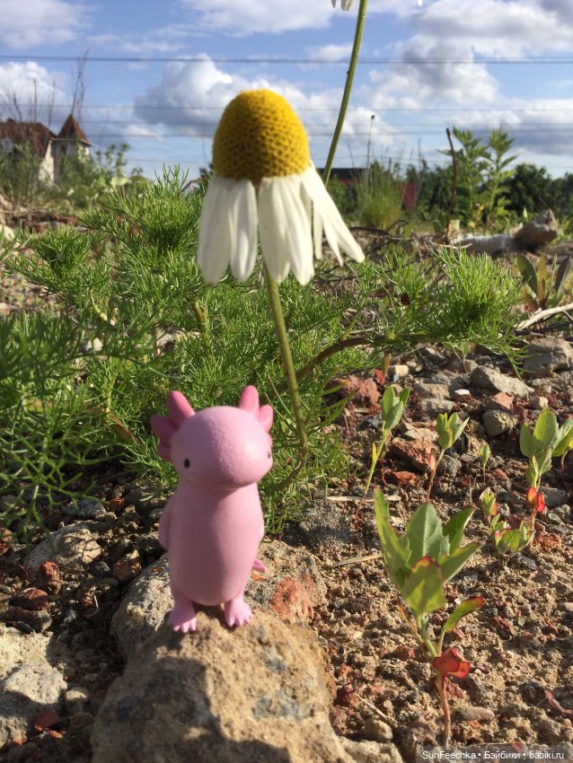 Акакий — Интересные игрушки и фигурки (разное): редкие (фото 9)