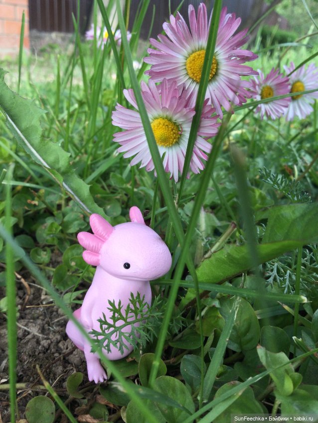 Акакий — Интересные игрушки и фигурки (разное): редкие (фото 6)