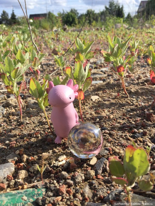 Акакий — Интересные игрушки и фигурки (разное): редкие (фото 8)