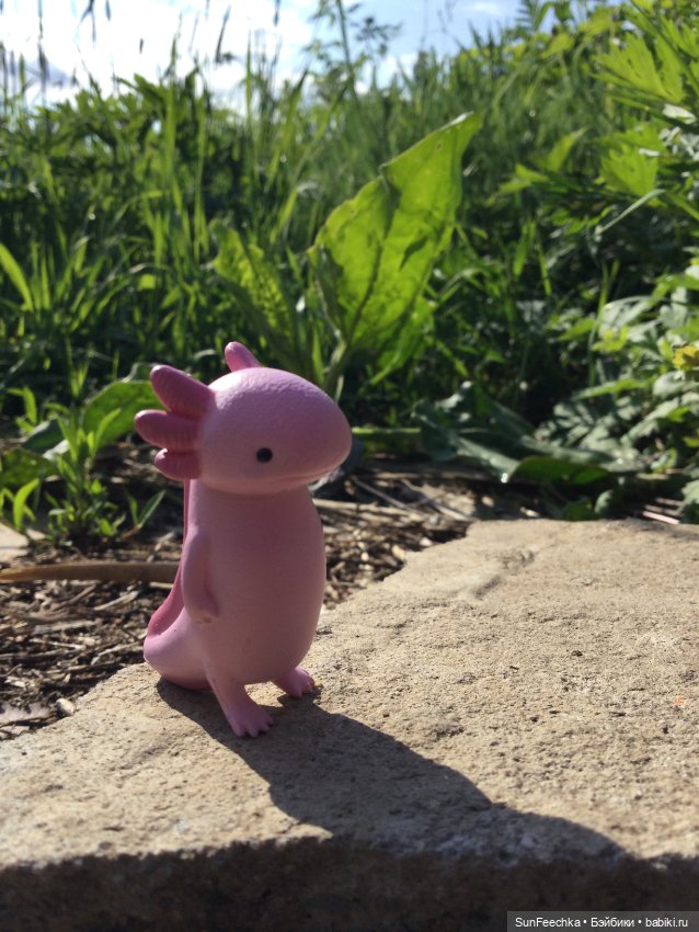 Акакий — Интересные игрушки и фигурки (разное): редкие (фото 2)