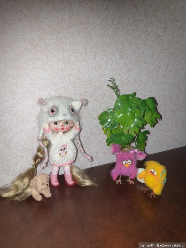 Совы 🦉и яйца 🥚 — Куклы и тела Obitsu 11 (Ob11): гибриды (фото 2)