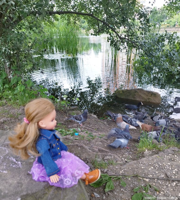 Как Василиска на пруду голубей и уточек кормила (фото 4)