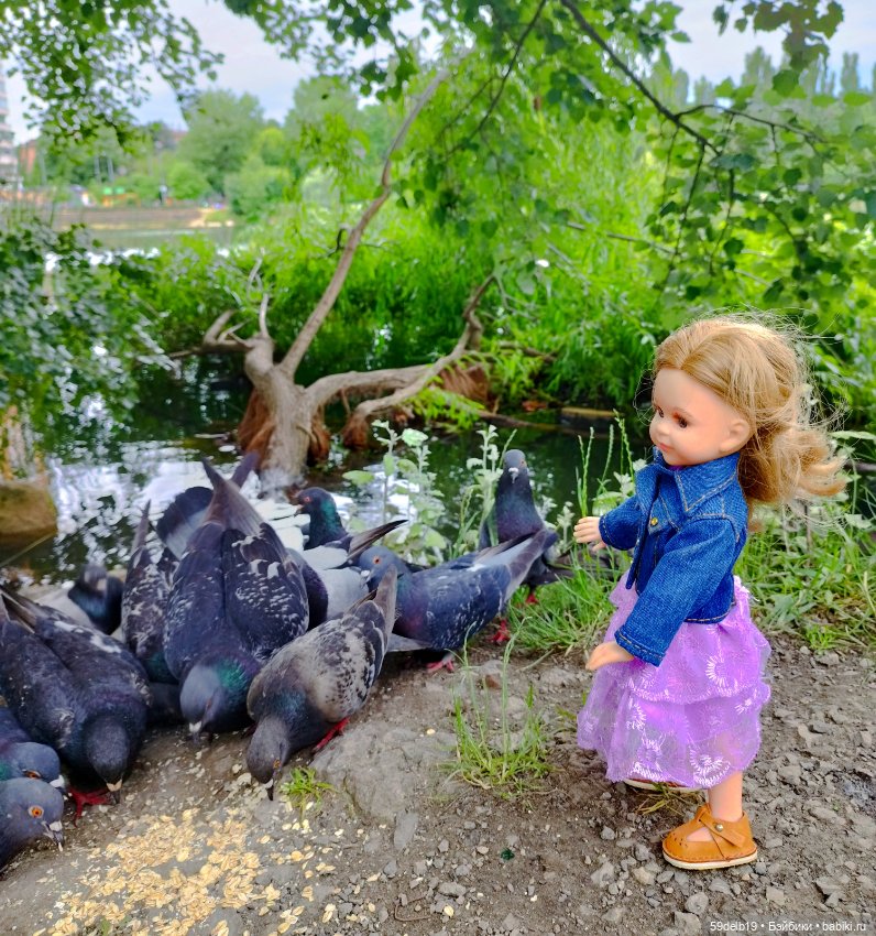 Как Василиска на пруду голубей и уточек кормила (фото 7)