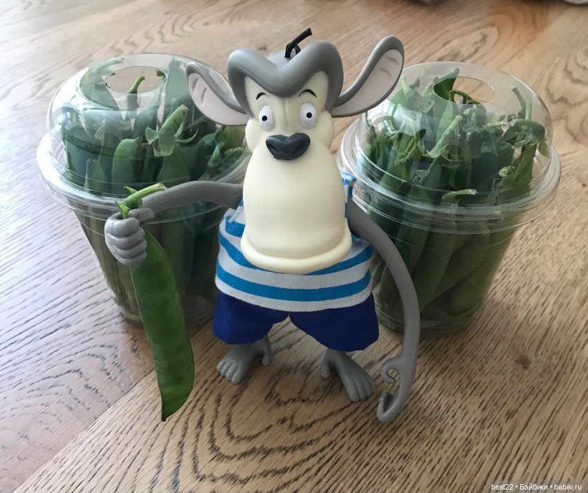 Семейка Торнберри — Игровые куклы разных производителей (Разное): редкие бренды