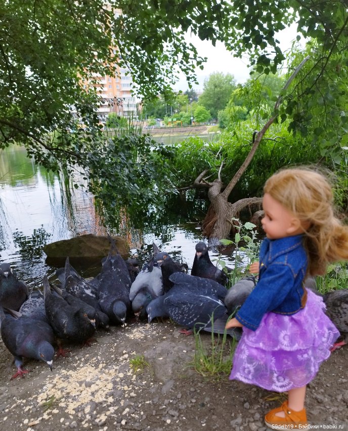 Как Василиска на пруду голубей и уточек кормила (фото 8)