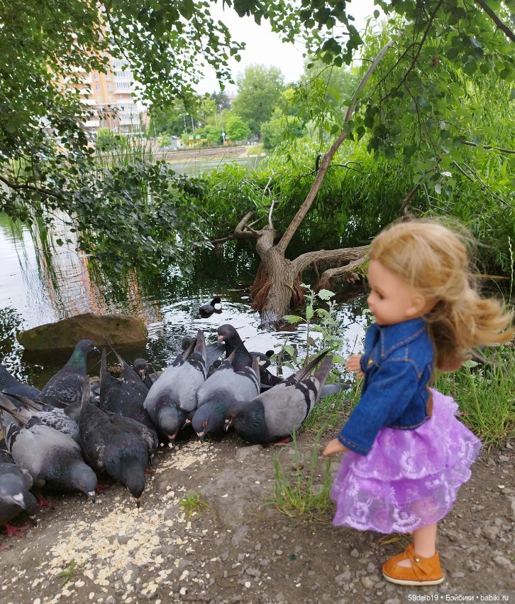 Как Василиска на пруду голубей и уточек кормила (фото 5)