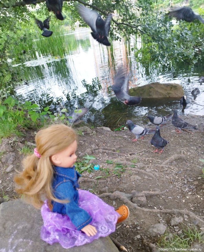 Как Василиска на пруду голубей и уточек кормила (фото 3)