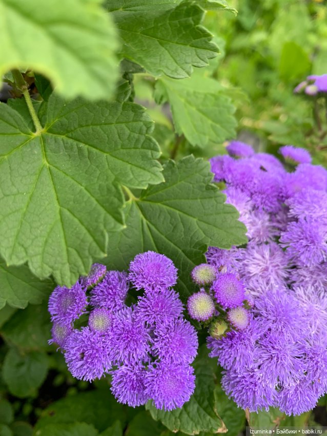 Привет,.. я - Анжелика… — ООАК Paola Reina (Паола Рейна) и испанских кукол: перерисовка (фото 6)