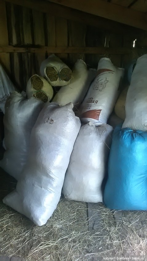 Копать или не копать? (Гранат и Лемонграсс)