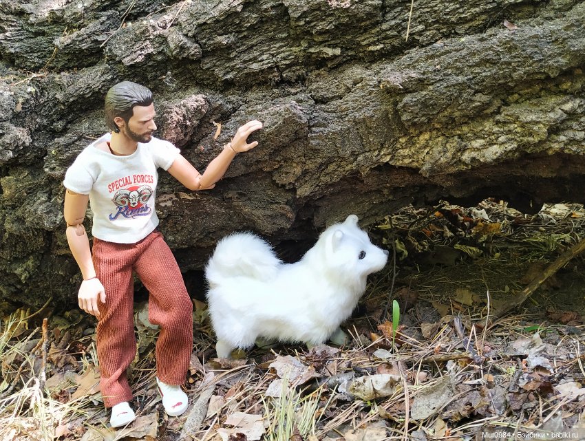 Лесная прогулка Криса с Баксом (фото 4)