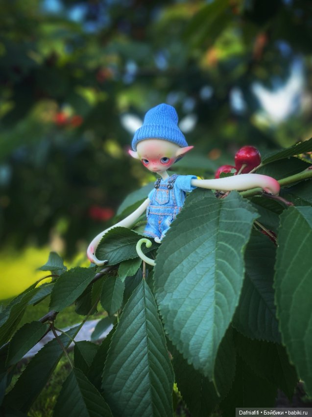 Непродаваемый Бро — Куклы Dollzone (Доллзон): BJD (БЖД) (фото 6)