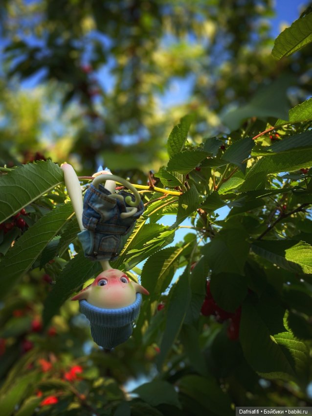 Непродаваемый Бро — Куклы Dollzone (Доллзон): BJD (БЖД) (фото 8)