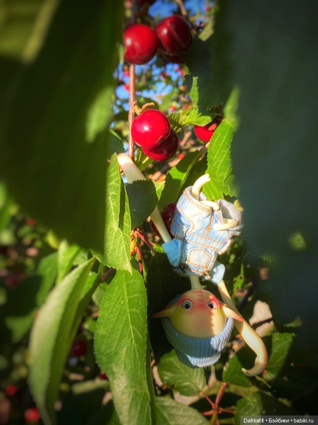 Непродаваемый Бро — Куклы Dollzone (Доллзон): BJD (БЖД) (фото 2)