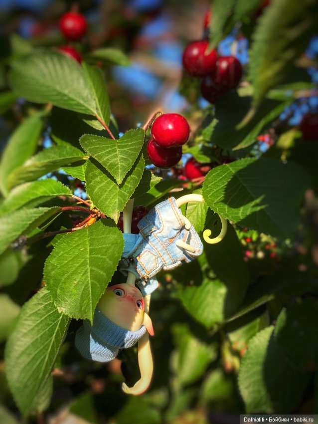 Непродаваемый Бро — Куклы Dollzone (Доллзон): BJD (БЖД)