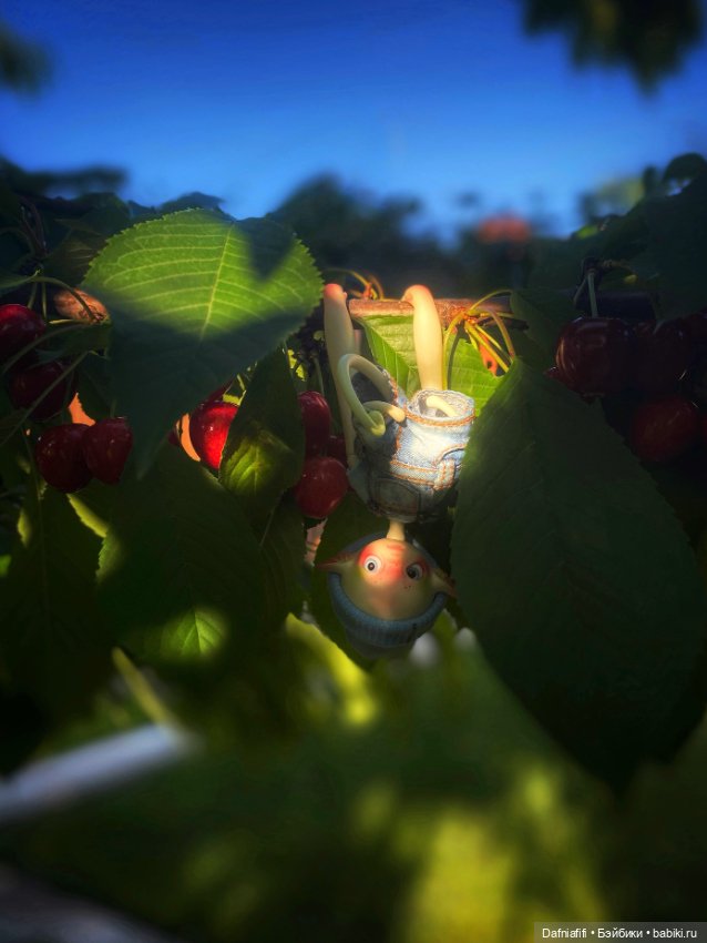 Непродаваемый Бро — Куклы Dollzone (Доллзон): BJD (БЖД) (фото 9)