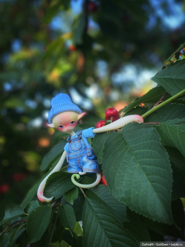 Непродаваемый Бро — Куклы Dollzone (Доллзон): BJD (БЖД) (фото 5)