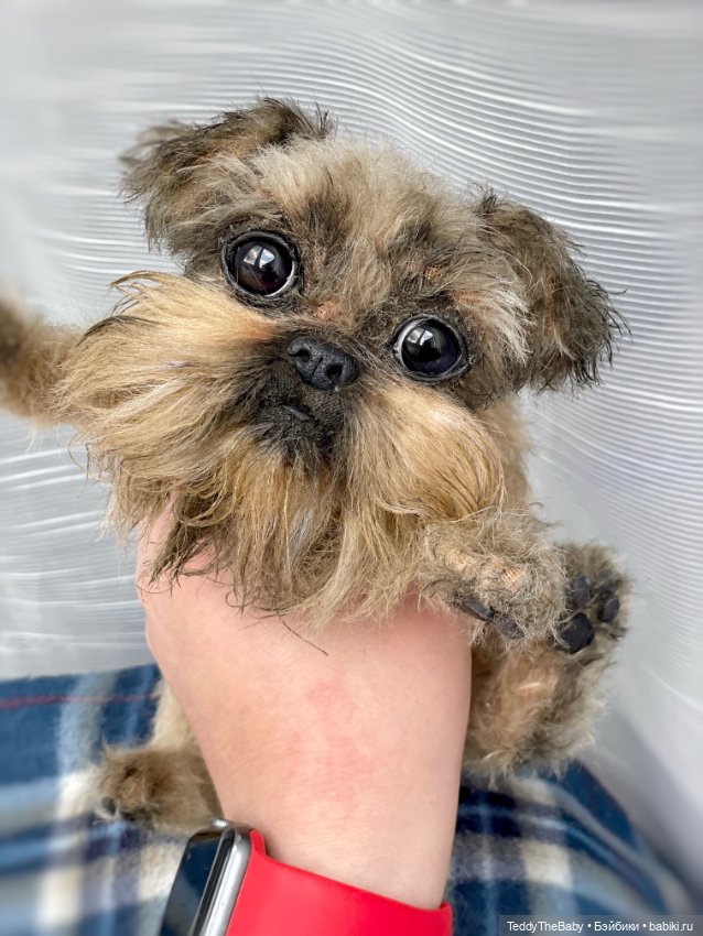 Эльф 🐾 — Реалистичные игрушки и звери (Натюр): собаки (фото 8)