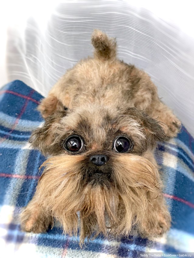 Эльф 🐾 — Реалистичные игрушки и звери (Натюр): собаки (фото 10)