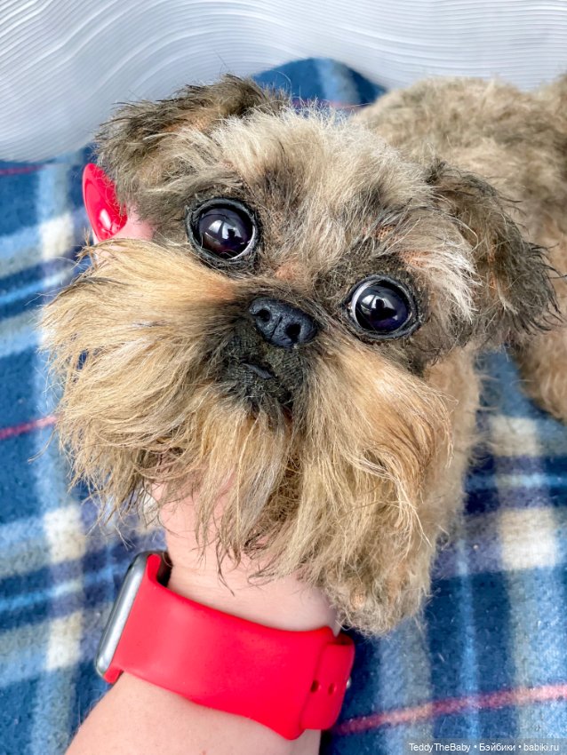 Эльф 🐾 — Реалистичные игрушки и звери (Натюр): собаки