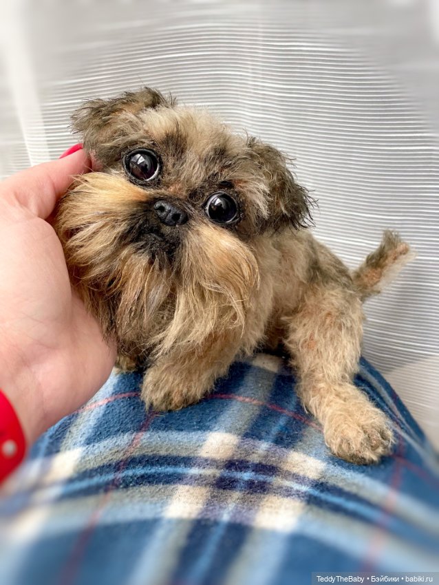 Эльф 🐾 — Реалистичные игрушки и звери (Натюр): собаки