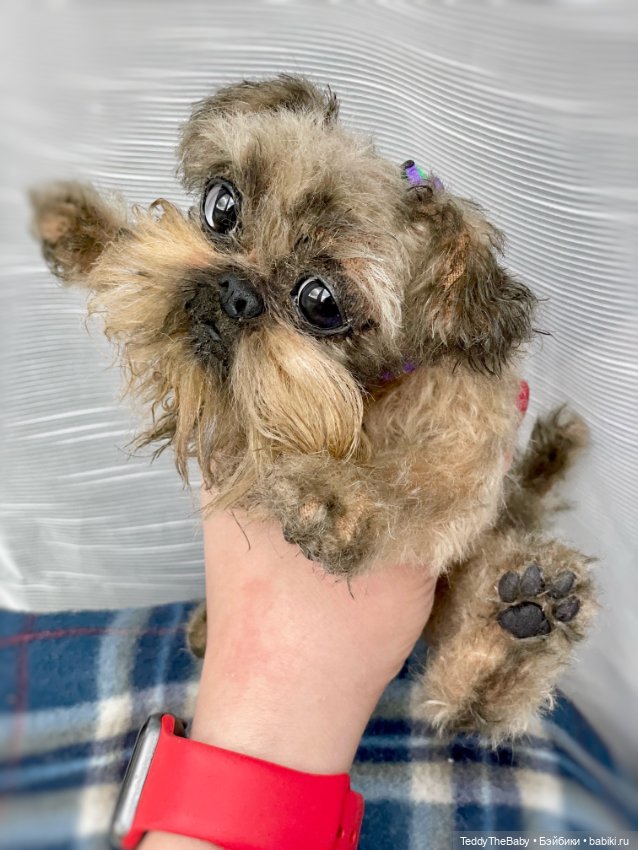 Эльф 🐾 — Реалистичные игрушки и звери (Натюр): собаки (фото 9)