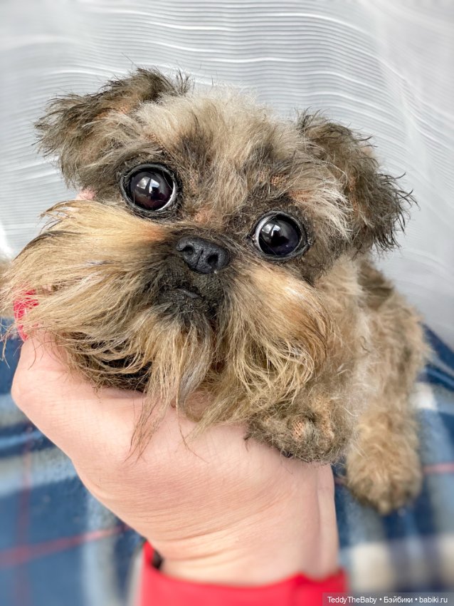 Эльф 🐾 — Реалистичные игрушки и звери (Натюр): собаки (фото 6)