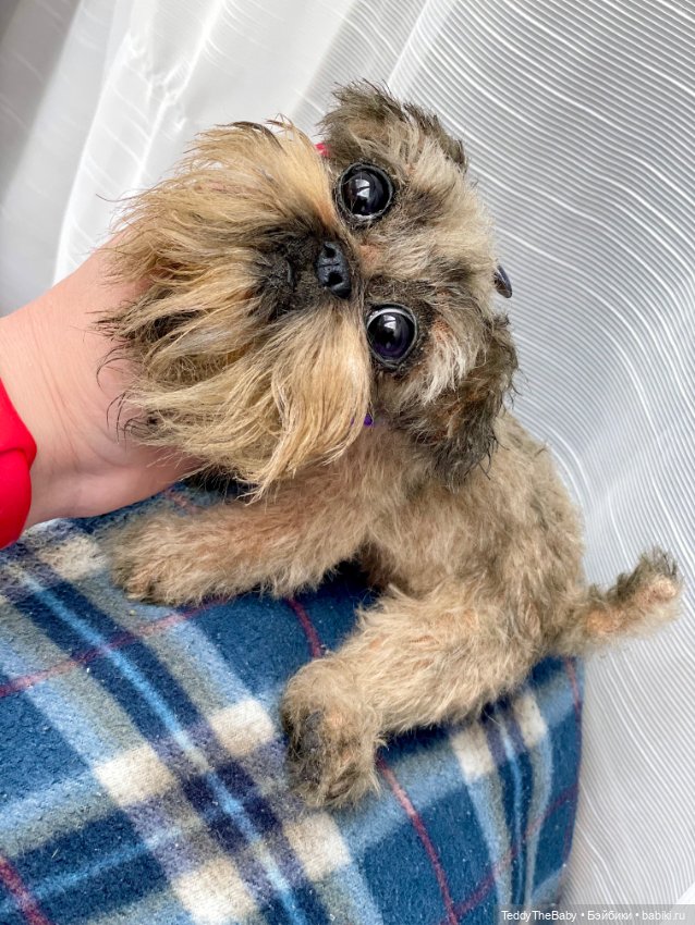 Эльф 🐾 — Реалистичные игрушки и звери (Натюр): собаки