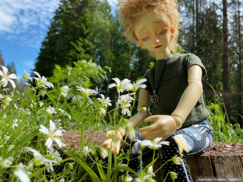 Ольвин гуляет по роще — Куклы Doll Leaves (Долл Ливз): BJD (БЖД) (фото 3)