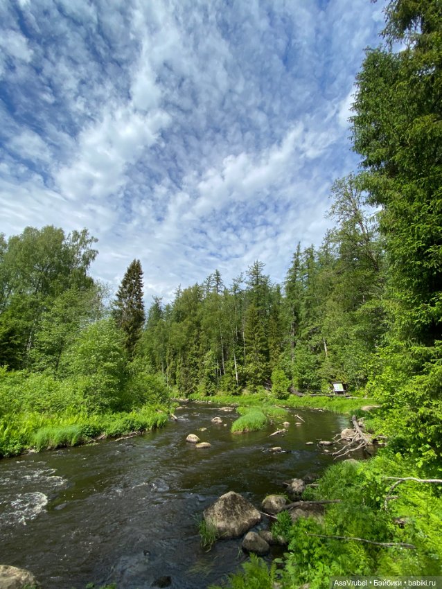 Ольвин гуляет по роще — Куклы Doll Leaves (Долл Ливз): BJD (БЖД) (фото 8)