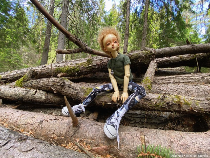 Ольвин гуляет по роще — Куклы Doll Leaves (Долл Ливз): BJD (БЖД) (фото 9)