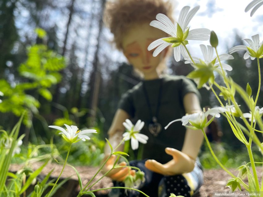 Ольвин гуляет по роще — Куклы Doll Leaves (Долл Ливз): BJD (БЖД)