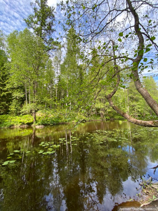 Ольвин гуляет по роще — Куклы Doll Leaves (Долл Ливз): BJD (БЖД)