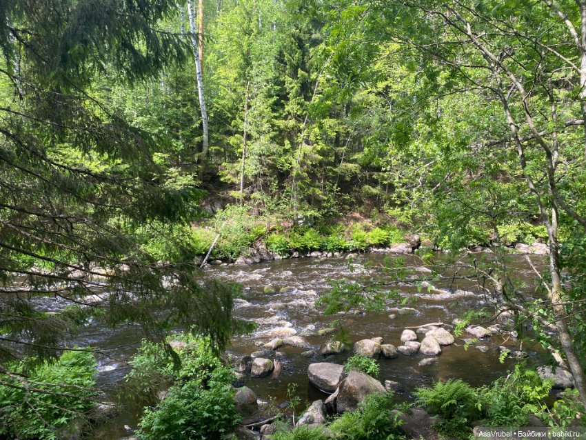 Ольвин гуляет по роще — Куклы Doll Leaves (Долл Ливз): BJD (БЖД)