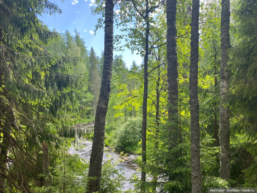 Ольвин гуляет по роще — Куклы Doll Leaves (Долл Ливз): BJD (БЖД)