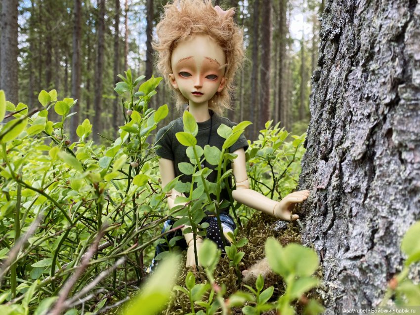 Ольвин гуляет по роще — Куклы Doll Leaves (Долл Ливз): BJD (БЖД) (фото 6)