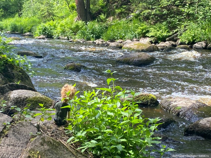 Ольвин гуляет по роще — Куклы Doll Leaves (Долл Ливз): BJD (БЖД)