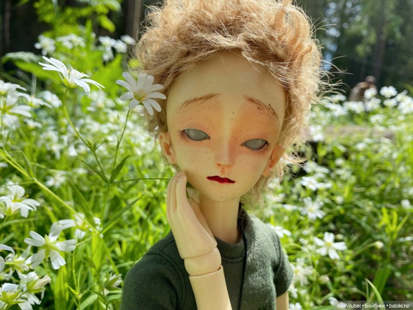 Ольвин гуляет по роще — Куклы Doll Leaves (Долл Ливз): BJD (БЖД) (фото 4)