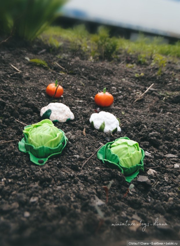 Фотосессия в огороде — Куклы и тела Obitsu 11 (Ob11): гибриды (фото 6)