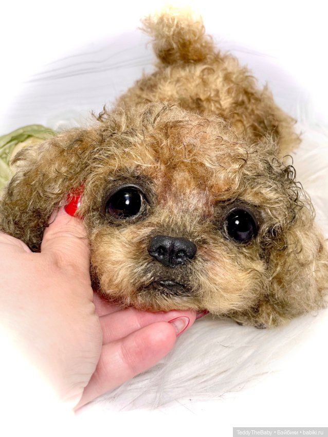 Kraš🐶🐾🐾🐾 — Реалистичные игрушки и звери (Натюр): собаки