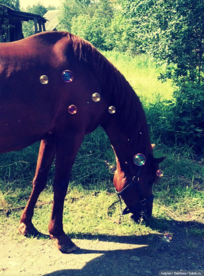 Мыльные пузыри — Интересные игрушки и фигурки (разное): редкие