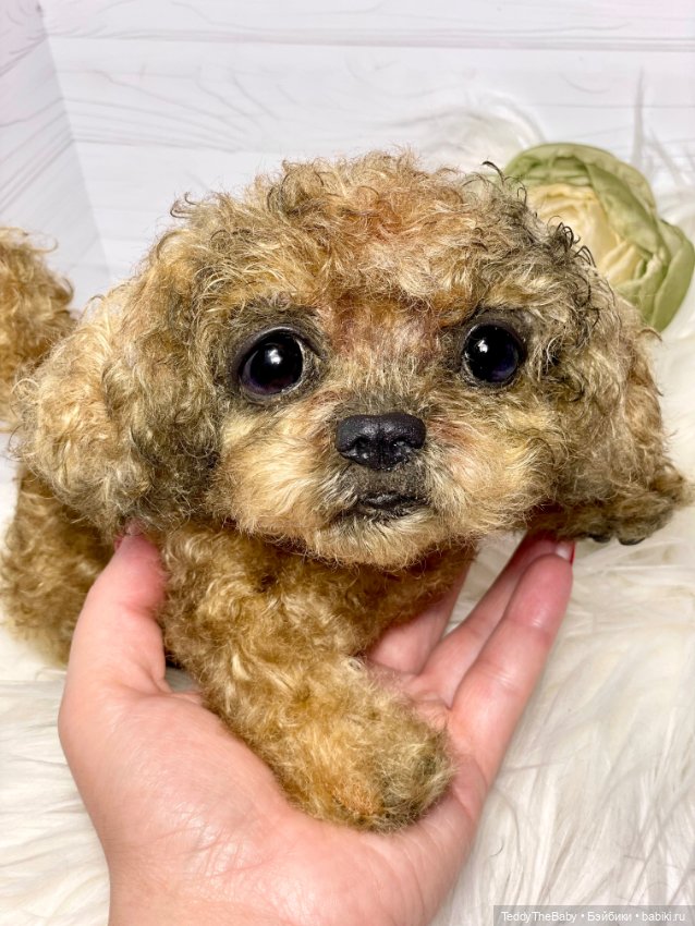 Kraš🐶🐾🐾🐾 — Реалистичные игрушки и звери (Натюр): собаки