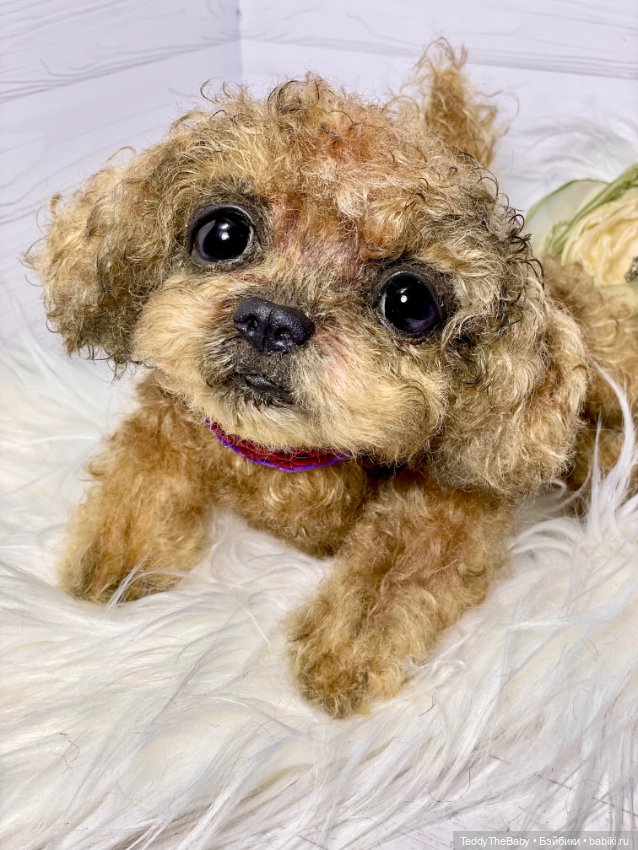 Kraš🐶🐾🐾🐾 — Реалистичные игрушки и звери (Натюр): собаки (фото 6)