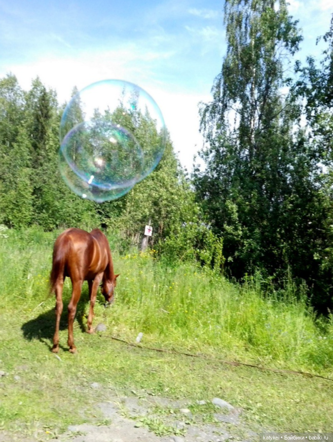 Мыльные пузыри — Интересные игрушки и фигурки (разное): редкие