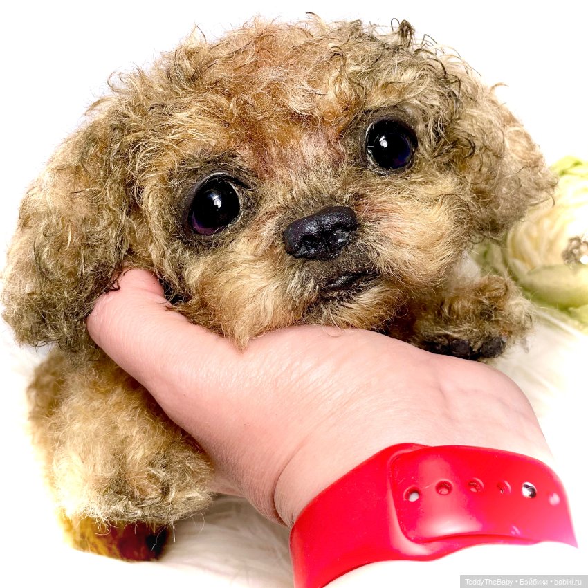 Kraš🐶🐾🐾🐾 — Реалистичные игрушки и звери (Натюр): собаки