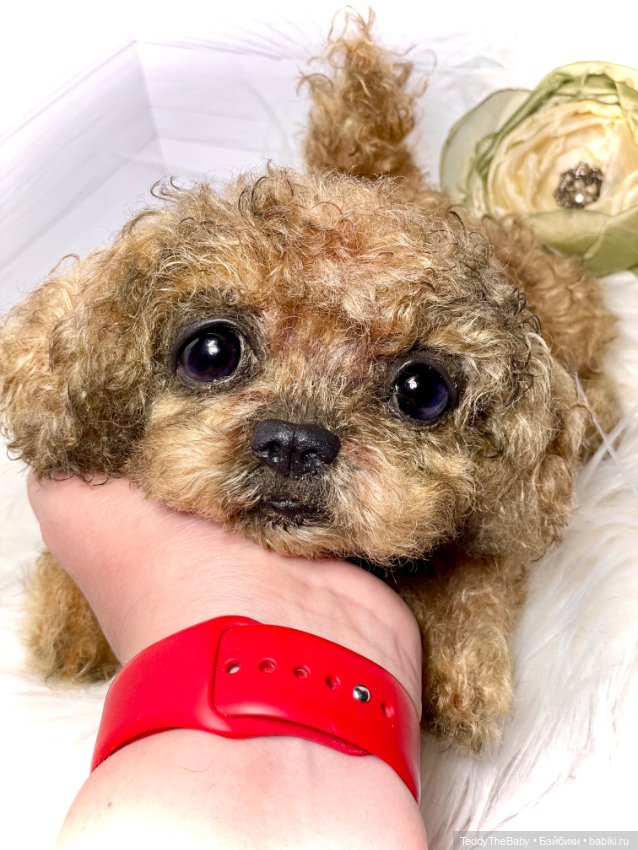 Kraš🐶🐾🐾🐾 — Реалистичные игрушки и звери (Натюр): собаки (фото 9)