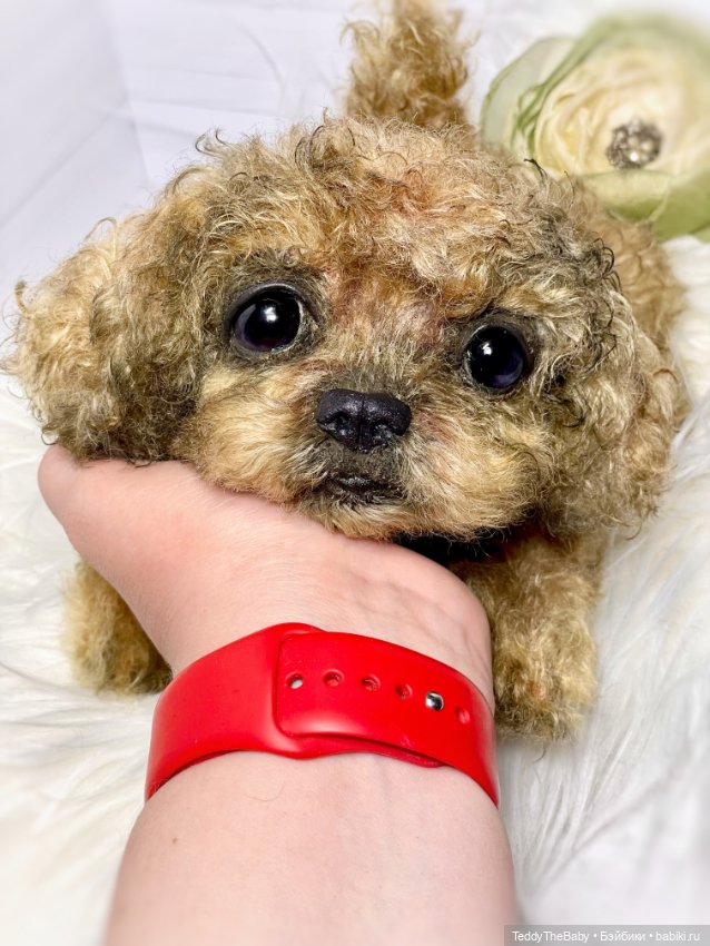 Kraš🐶🐾🐾🐾 — Реалистичные игрушки и звери (Натюр): собаки (фото 8)