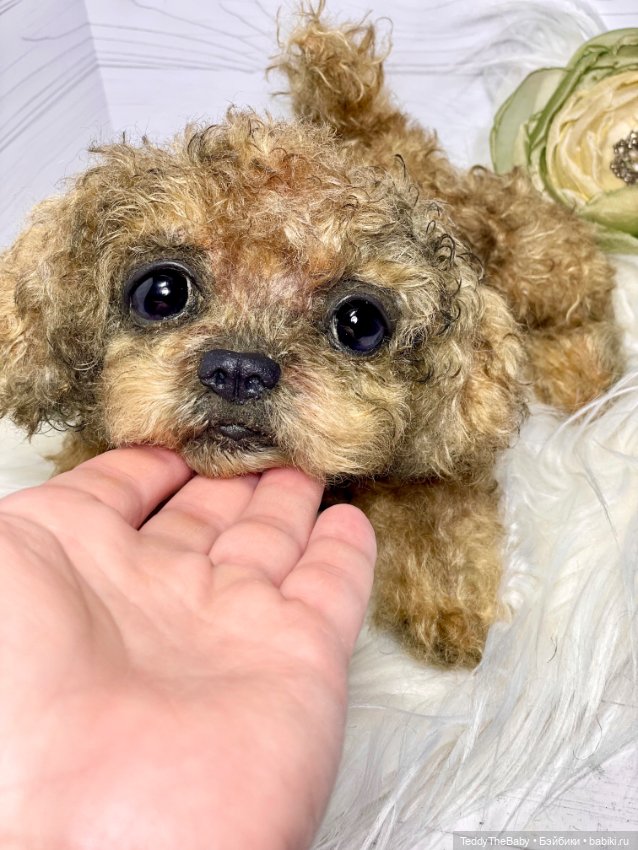 Kraš🐶🐾🐾🐾 — Реалистичные игрушки и звери (Натюр): собаки (фото 2)