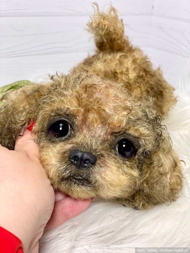 Kraš🐶🐾🐾🐾 — Реалистичные игрушки и звери (Натюр): собаки