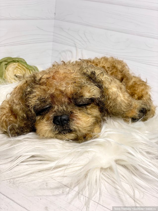 Kraš🐶🐾🐾🐾 — Реалистичные игрушки и звери (Натюр): собаки